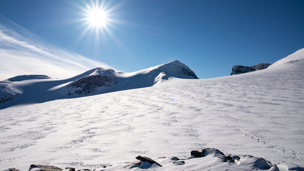 Galdhøpiggen og snødekt Styggebreen