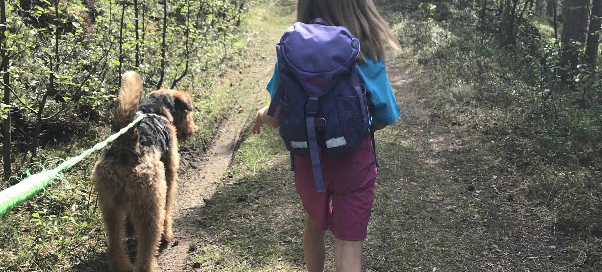 Hund og barn på fottur i skog etter traktorveg