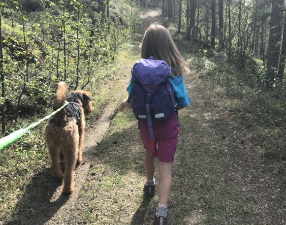 Hund og barn på fottur i skog etter traktorveg